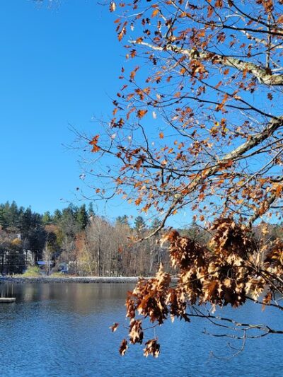 Ashfield Lake - Ashfield, MA