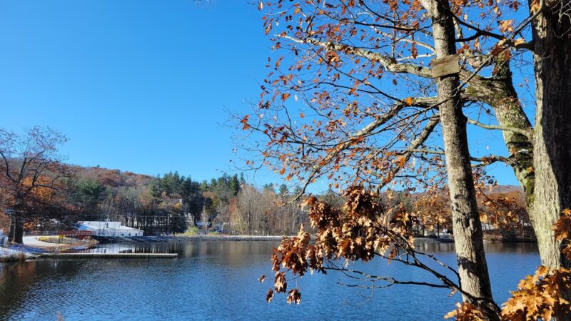 Ashfield Lake - Ashfield, MA