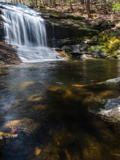 Chapel Ledge Trail - Ashfield, MA
