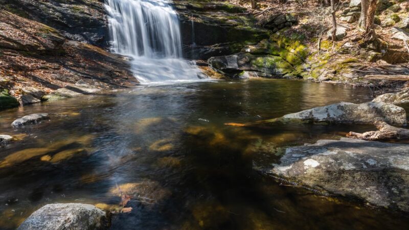 Chapel Ledge Trail - Ashfield, MA