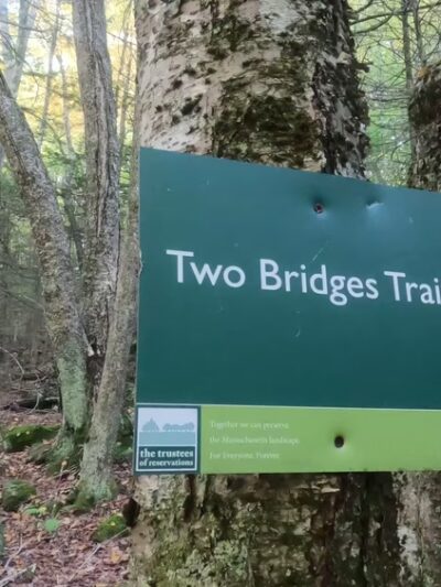 Chapel Ledge Trail - Ashfield, MA