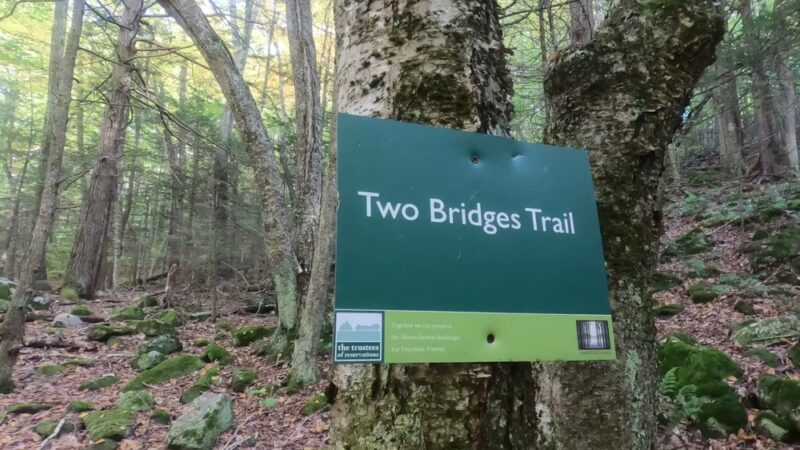 Chapel Ledge Trail - Ashfield, MA