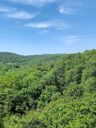 Chapel Ledge Trail - Ashfield, MA