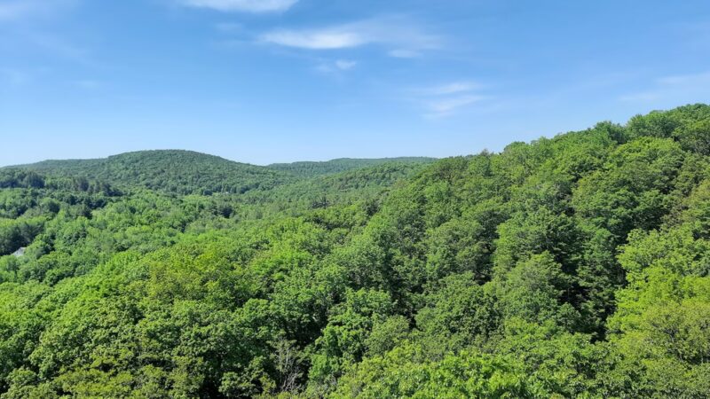 Chapel Ledge Trail - Ashfield, MA