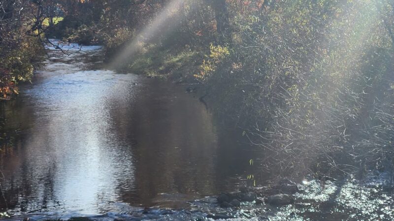 Ashfield Playground - Ashfield, PA