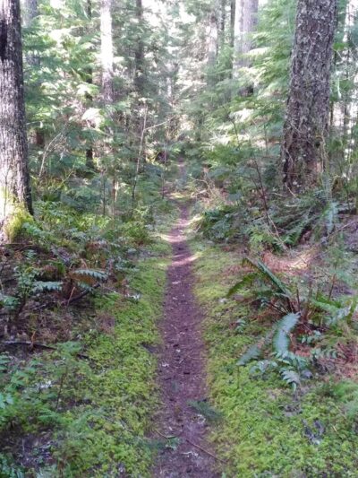 DNR trailhead - Ashford, WA