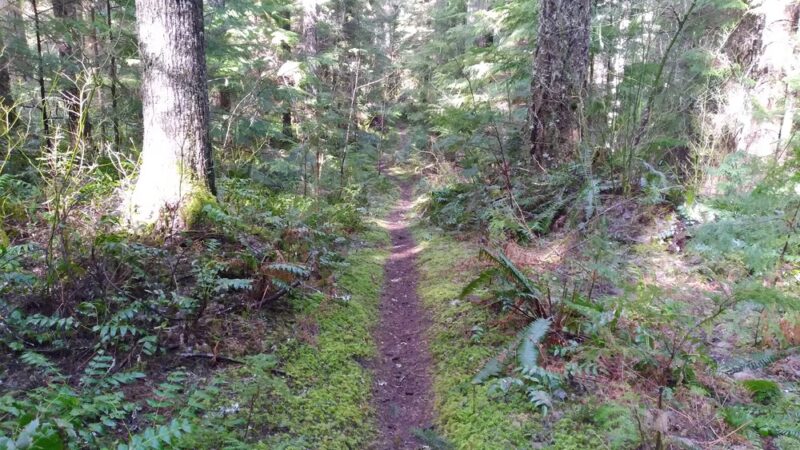 DNR trailhead - Ashford, WA