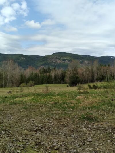 DNR trailhead - Ashford, WA