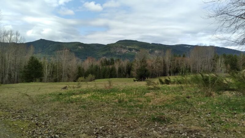 DNR trailhead - Ashford, WA
