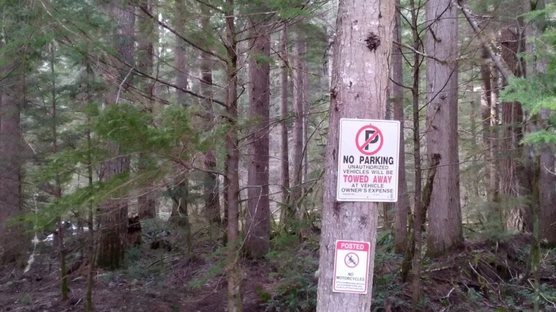 DNR trailhead - Ashford, WA