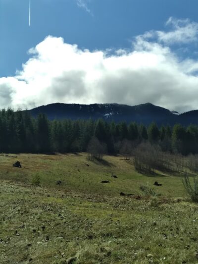 DNR trailhead - Ashford, WA