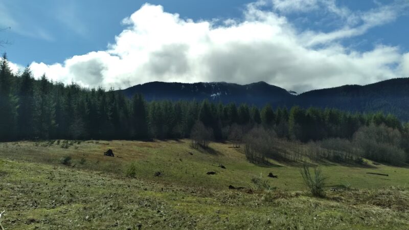 DNR trailhead - Ashford, WA