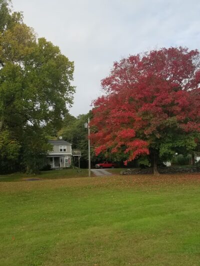 Hathaway Park - Assonet, MA