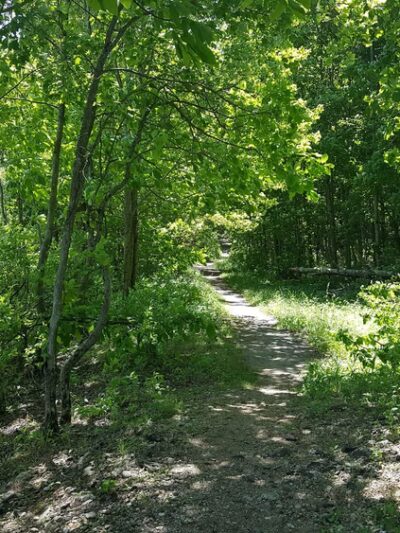 Assumption Park - Assumption, IL