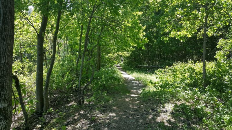 Assumption Park - Assumption, IL