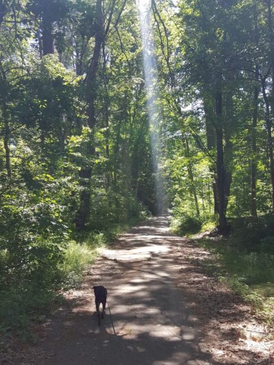 Assumption Park - Assumption, IL