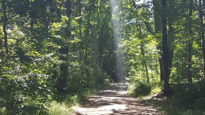 Assumption Park - Assumption, IL