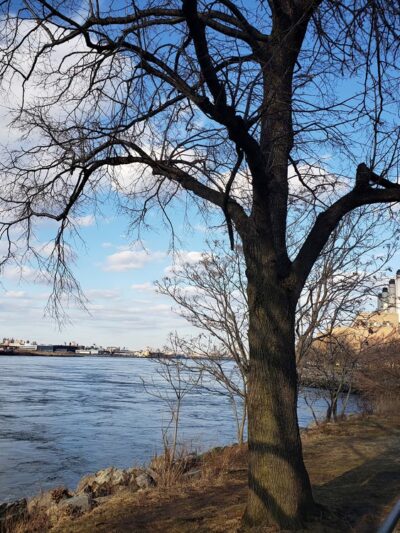 Ralph Demarco Park - Astoria, NY
