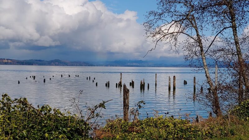 Mill Pond Park - Astoria, OR