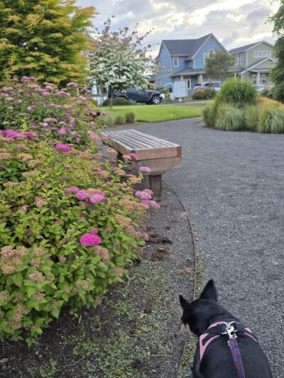 Mill Pond Park - Astoria, OR
