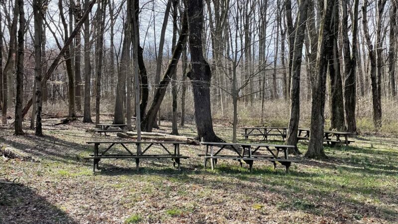 Jim Landis Woodland Preserve - Atglen, PA