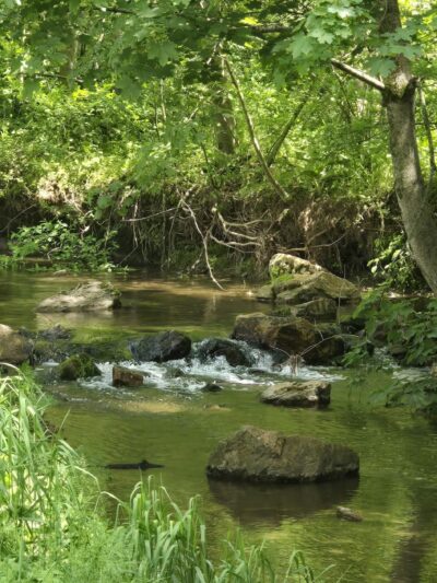 Jim Landis Woodland Preserve - Atglen, PA