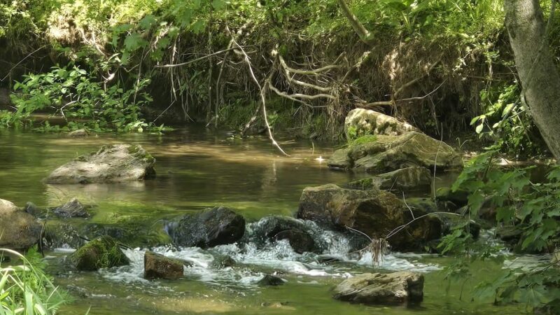 Jim Landis Woodland Preserve - Atglen, PA