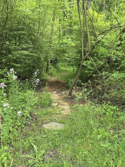 Jim Landis Woodland Preserve - Atglen, PA