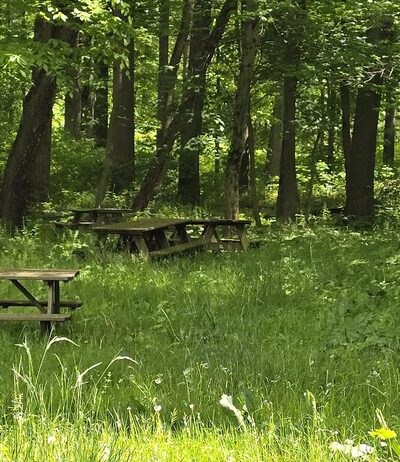 Jim Landis Woodland Preserve - Atglen, PA