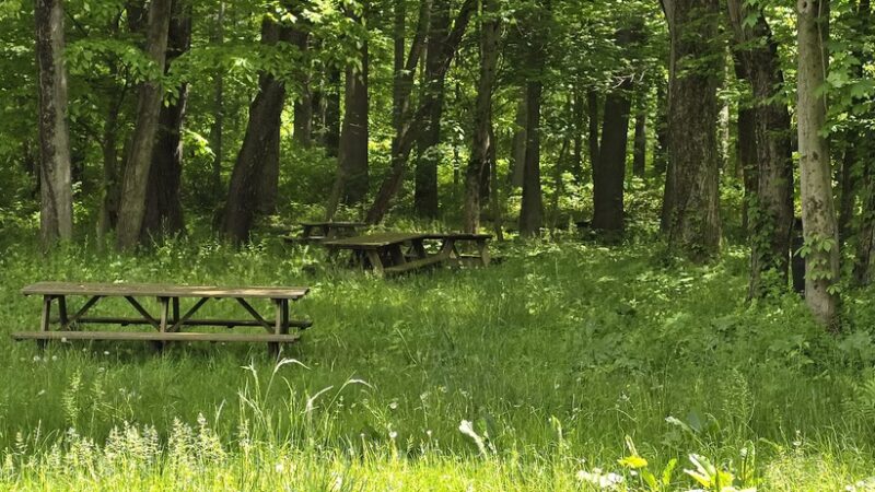 Jim Landis Woodland Preserve - Atglen, PA
