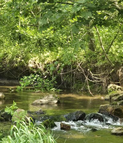 Jim Landis Woodland Preserve - Atglen, PA