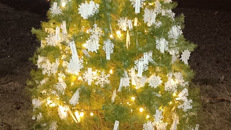 Big Memorial Spring Park - Athens, AL