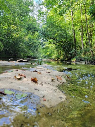 Swan Creek Greenway National Recreation Trail - Athens, AL