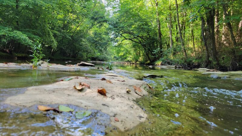 Swan Creek Greenway National Recreation Trail - Athens, AL
