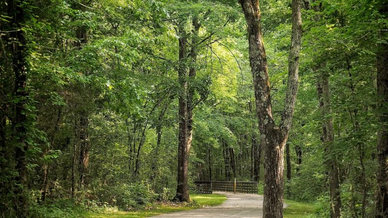 Swan Creek Nature Trail North - Athens, AL