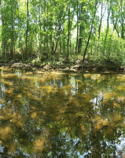 Swan Creek Nature Trail North - Athens, AL