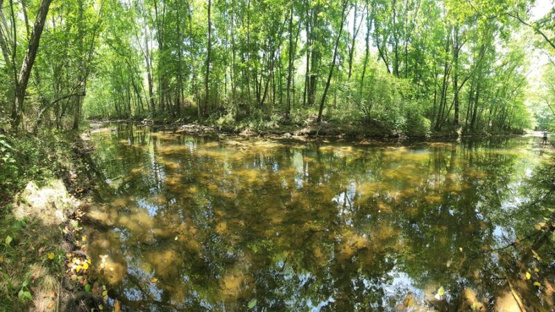 Swan Creek Nature Trail North - Athens, AL