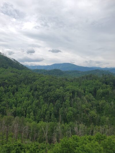 Swan Creek Nature Trail North - Athens, AL