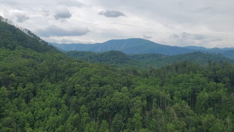 Swan Creek Nature Trail North - Athens, AL