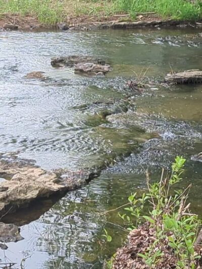 Swan Creek Park - Athens, AL