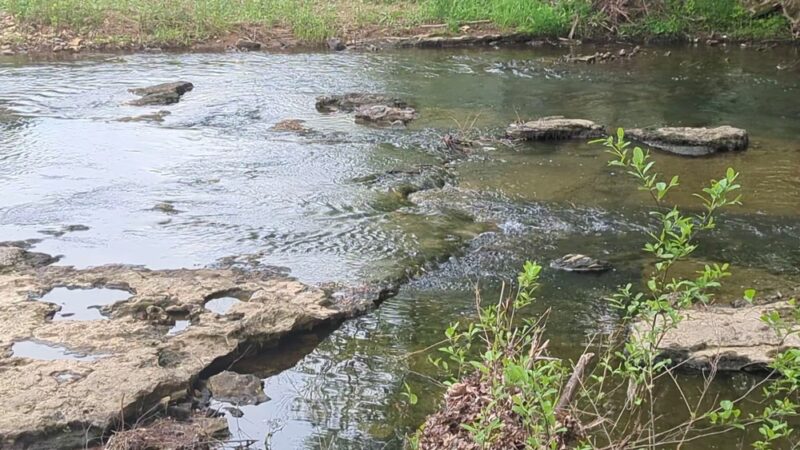 Swan Creek Park - Athens, AL