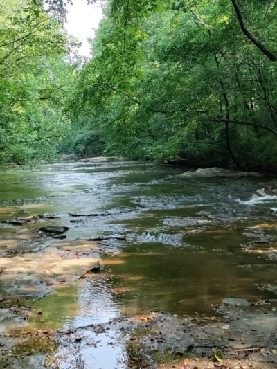 Swan Creek Park - Athens, AL