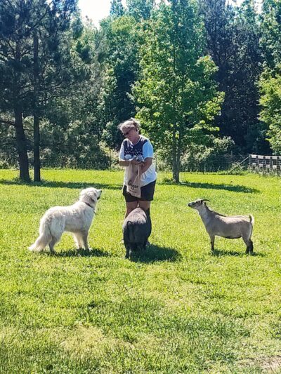 Sweet Feet Farm - Athens, AL