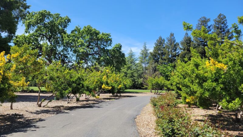 Holbrook Palmer Park - Atherton, CA