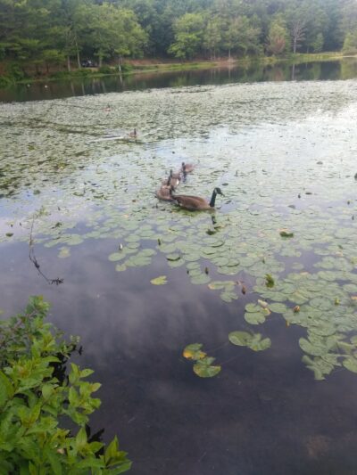 Silver Lake Park - Athol, MA