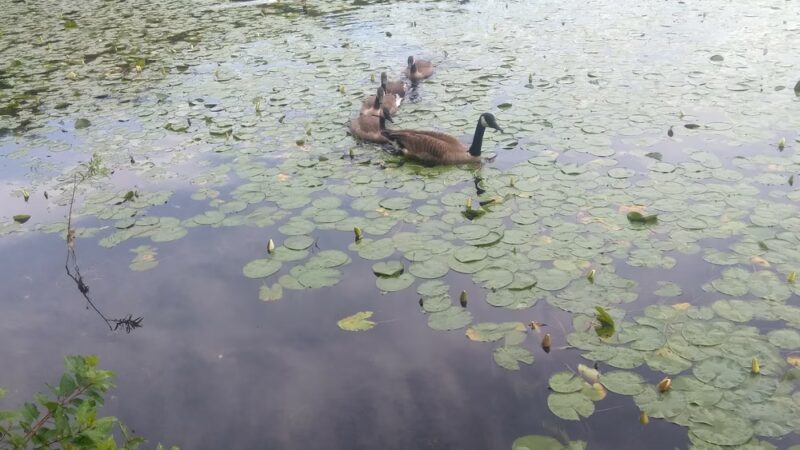Silver Lake Park - Athol, MA