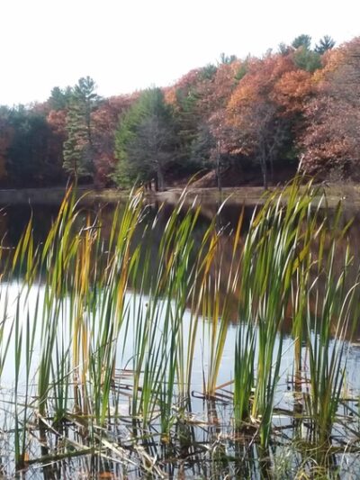 Silver Lake Park - Athol, MA