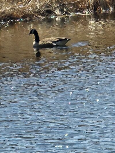 Silver Lake Park - Athol, MA