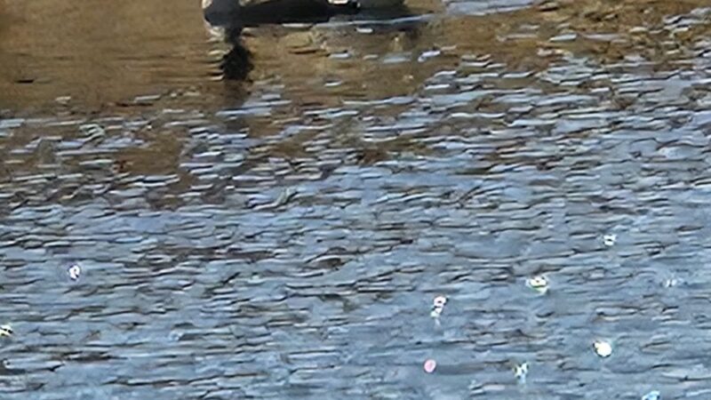Silver Lake Park - Athol, MA