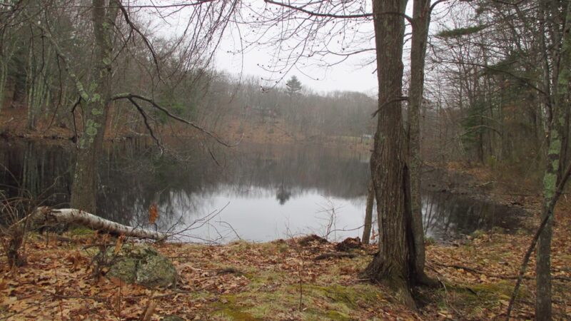 Woodlock Recreation Area - Atkinson, NH